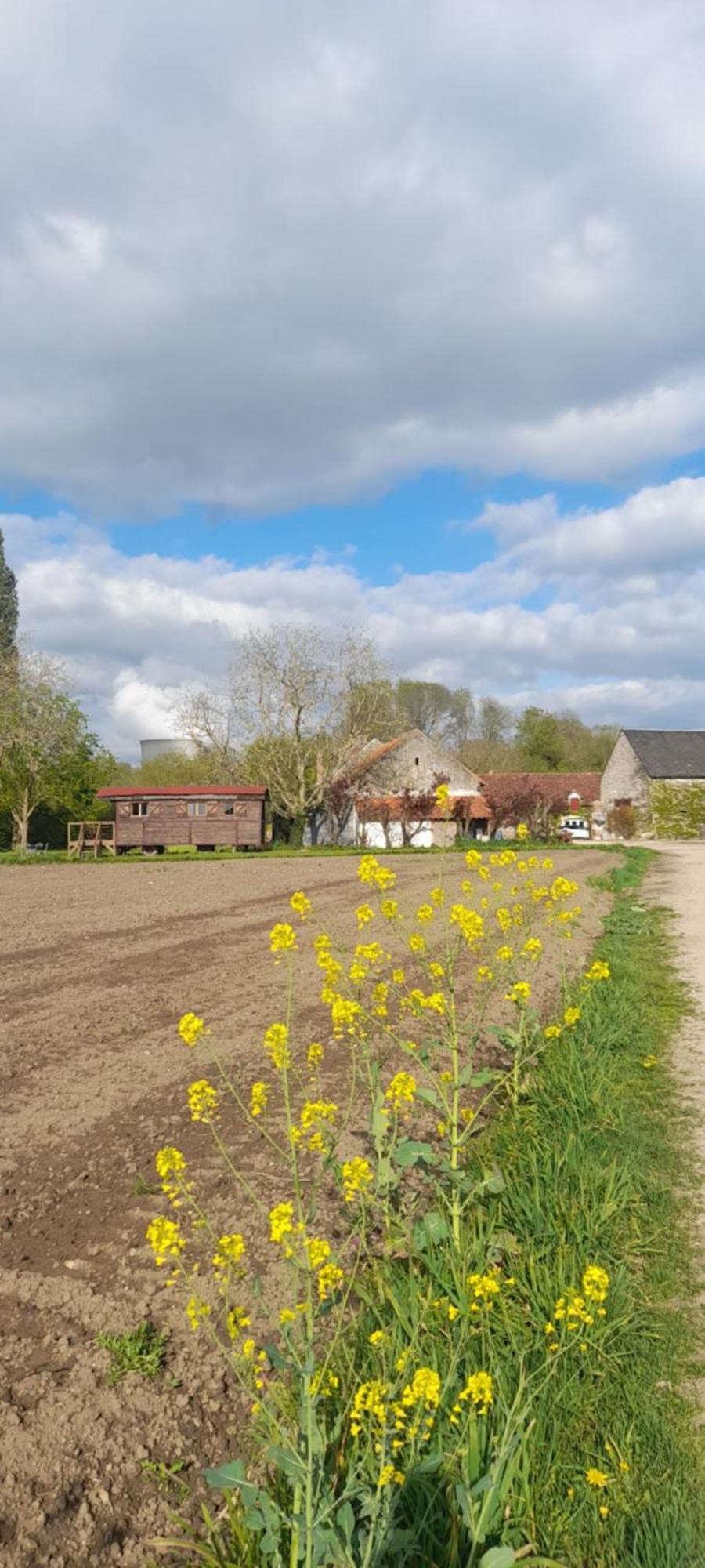 La Ferme De L'Isle Et Sa Roulotte Avaray Exterior foto